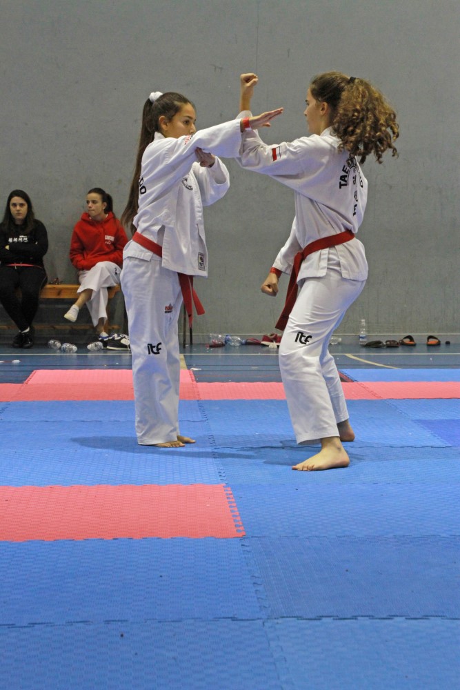 III Copa Seúl (201).jpg